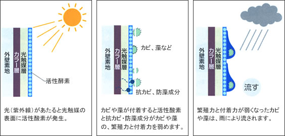 カビや藻の発生を抑制