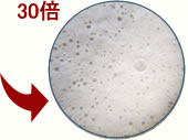 点検・調査方法