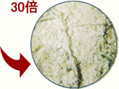 点検・調査方法